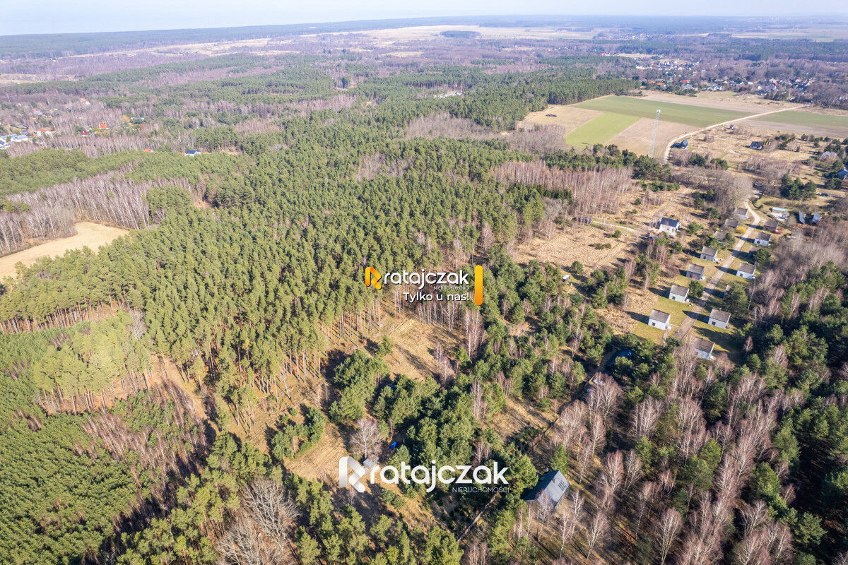 DZIAŁKA INWESTYCYJNA | SASINO | LAS WIDOK NA MORZESasino