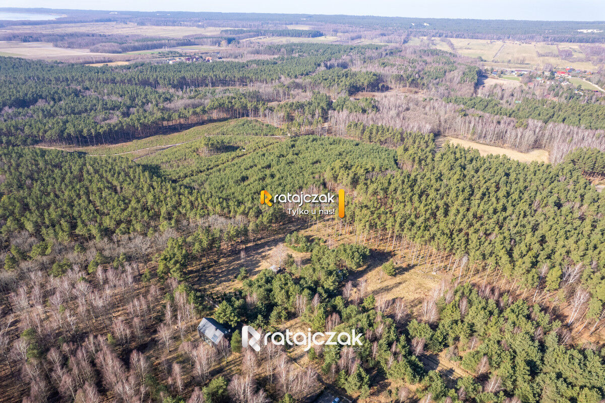 DZIAŁKA INWESTYCYJNA | SASINO | LAS WIDOK NA MORZESasino