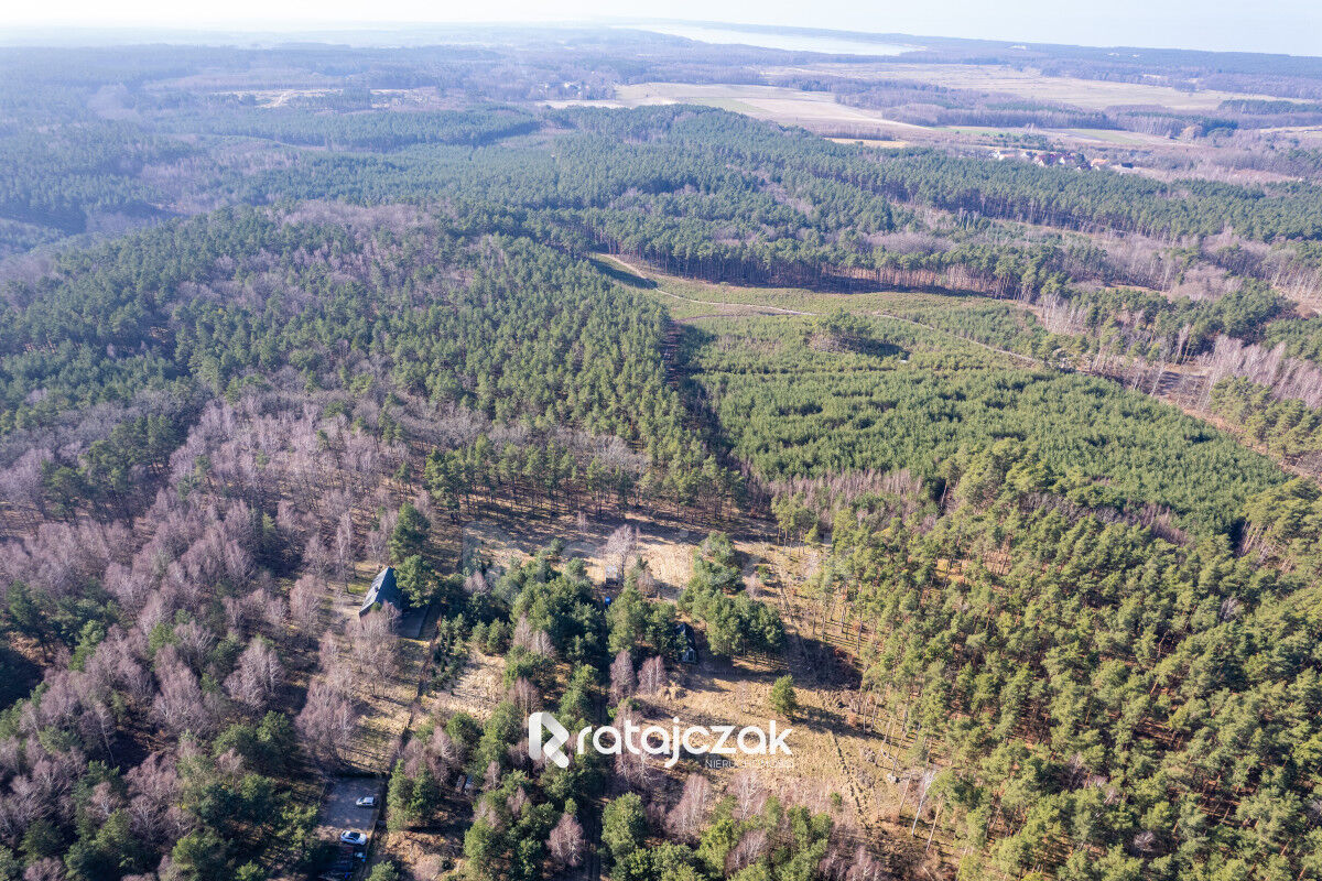 DZIAŁKA INWESTYCYJNA | SASINO | LAS WIDOK NA MORZESasino