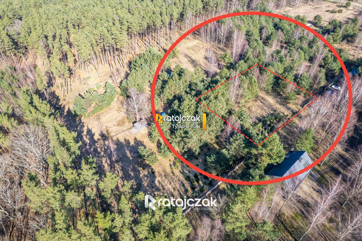 DZIAŁKA INWESTYCYJNA | SASINO | LAS WIDOK NA MORZESasino