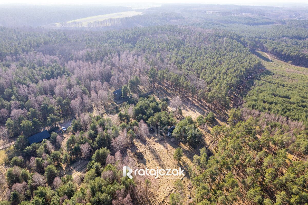 DZIAŁKA INWESTYCYJNA | SASINO | LAS WIDOK NA MORZESasino