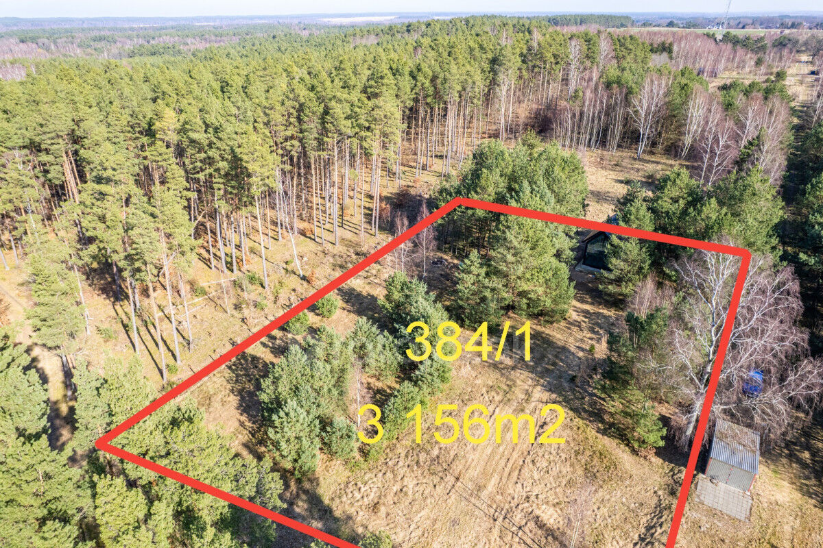 DOMEK NAD MORZEM | LAS | SASINO | 3 156m2 DZIAŁKASasino