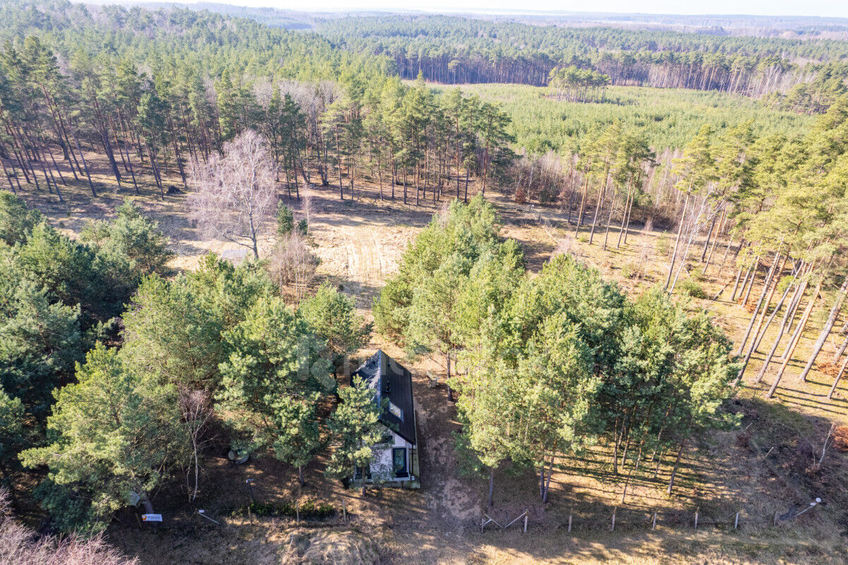 DOMEK NAD MORZEM | LAS | SASINO | 3 156m2 DZIAŁKASasino