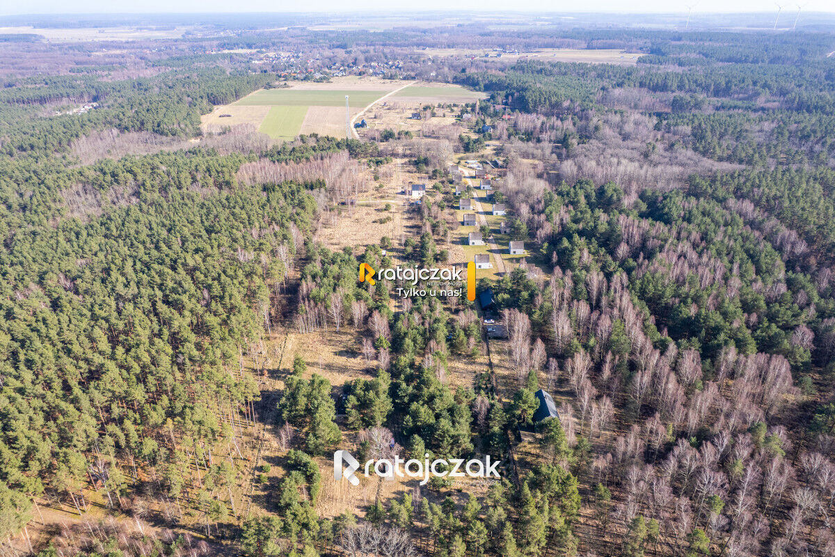 DOMEK NAD MORZEM | LAS | SASINO | 3 156m2 DZIAŁKASasino