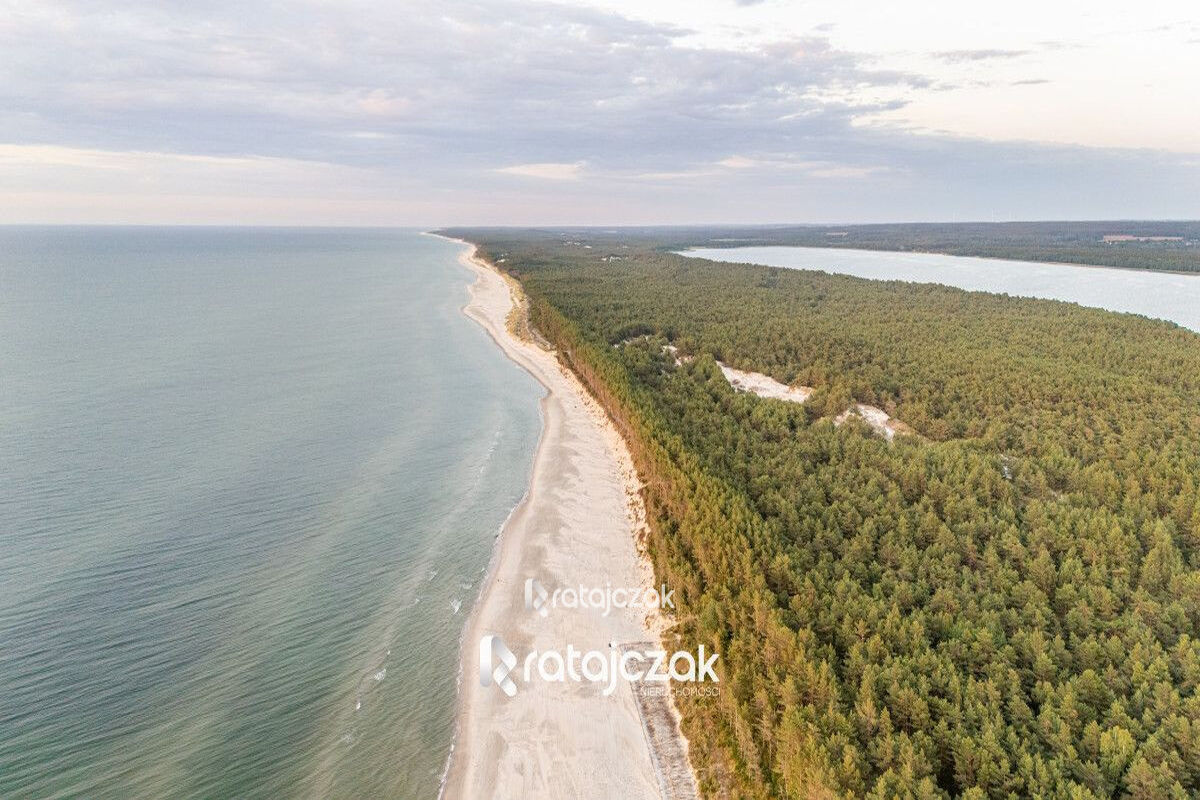 DOMEK NAD MORZEM | LAS | SASINO | 3 156m2 DZIAŁKASasino