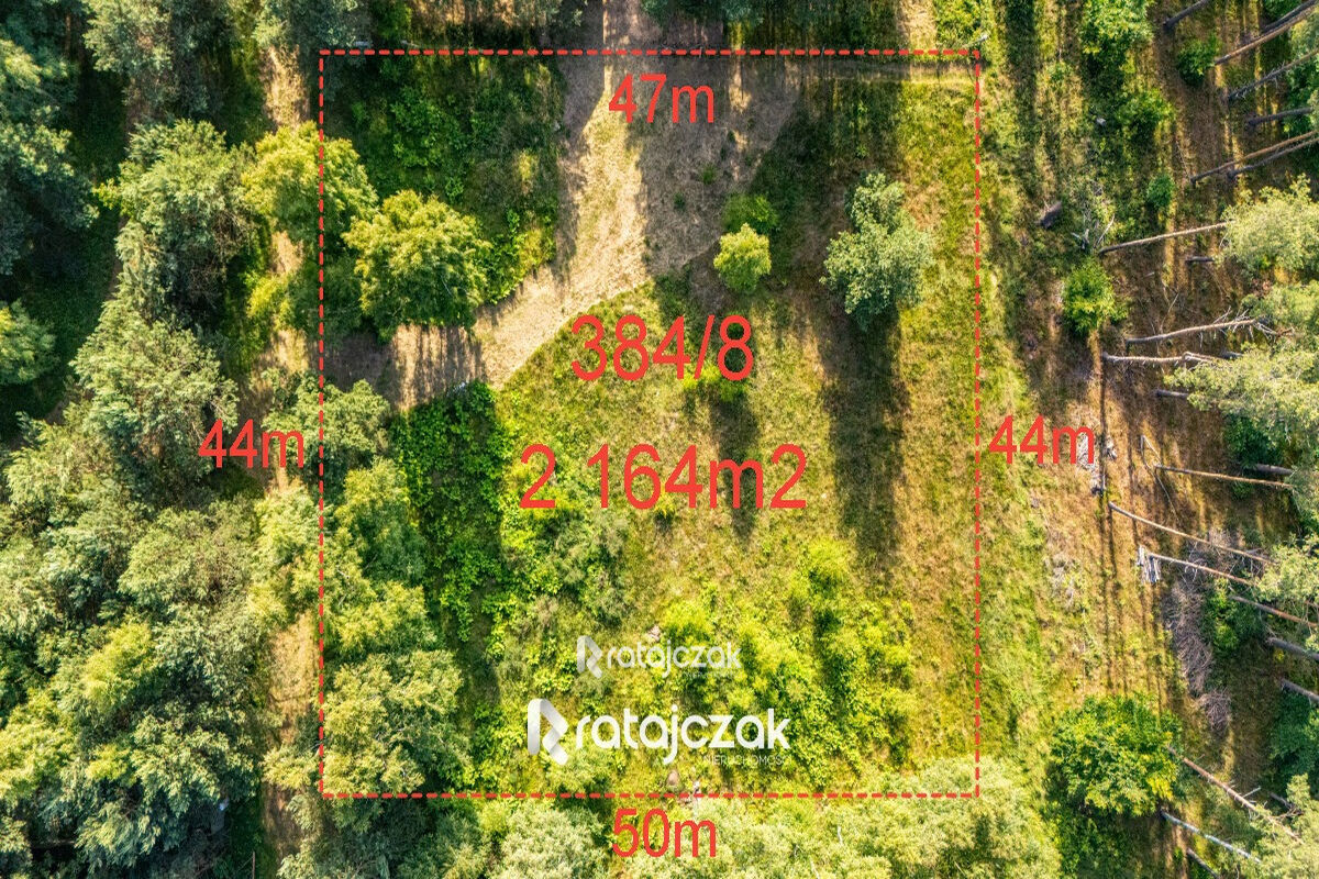 DZIAŁKA BUDOWLANA | SASINO | POD LASEM | MORZESasino