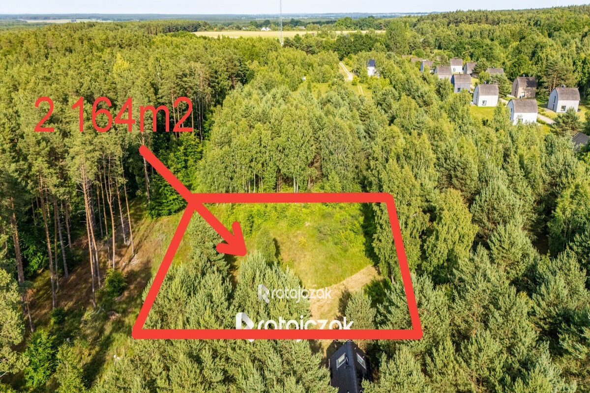 DZIAŁKA BUDOWLANA | SASINO | POD LASEM | MORZESasino