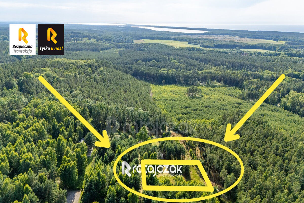 DZIAŁKA BUDOWLANA | SASINO | POD LASEM | MORZESasino