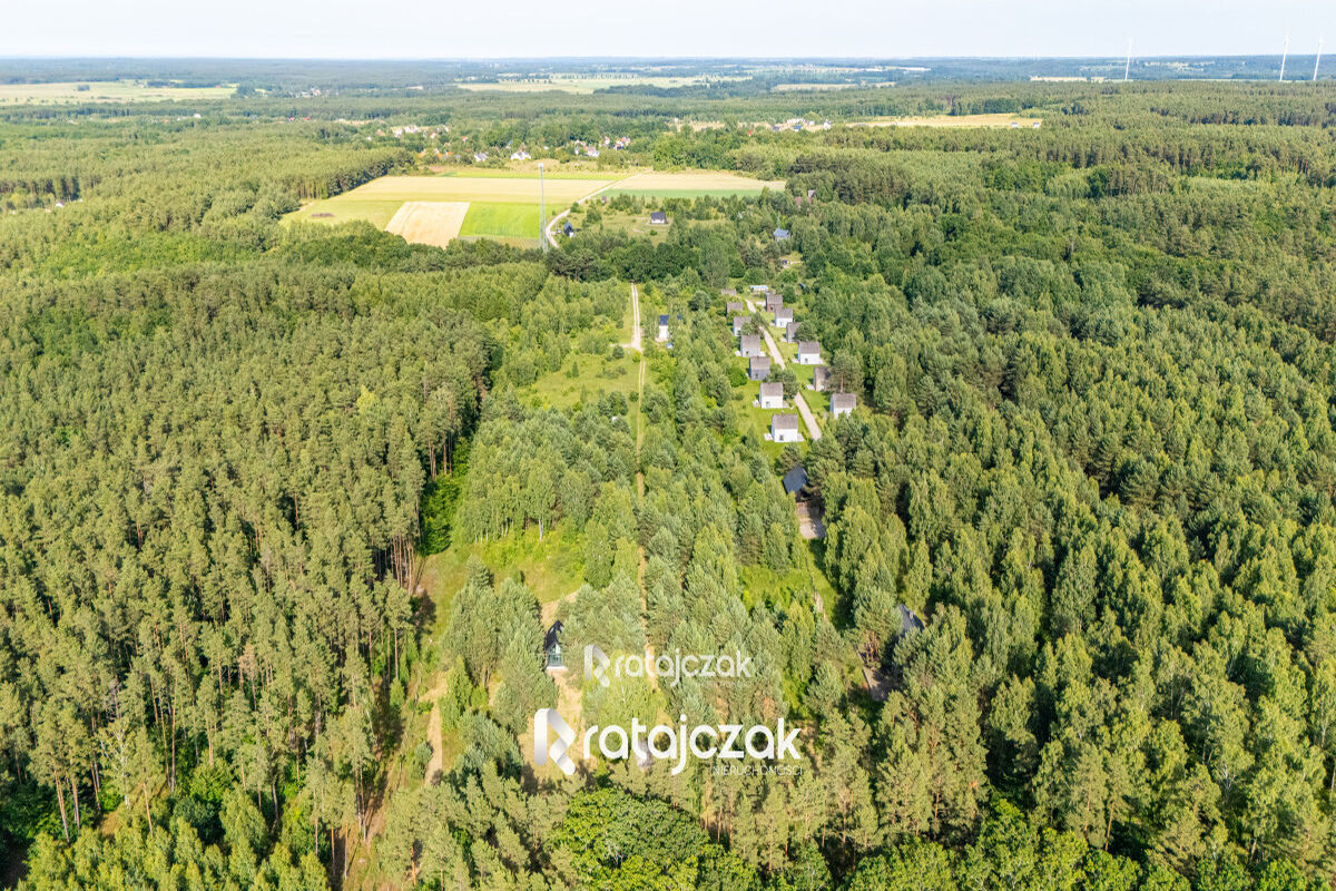 DZIAŁKA BUDOWLANA | SASINO | POD LASEM | MORZESasino