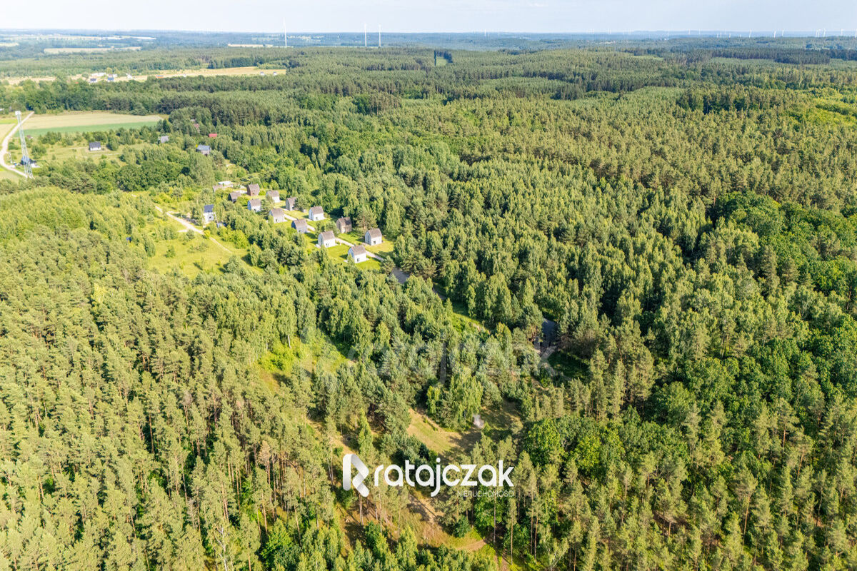 DZIAŁKA BUDOWLANA | SASINO | POD LASEM | MORZESasino