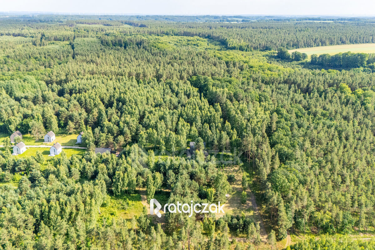 DZIAŁKA BUDOWLANA | SASINO | POD LASEM | MORZESasino