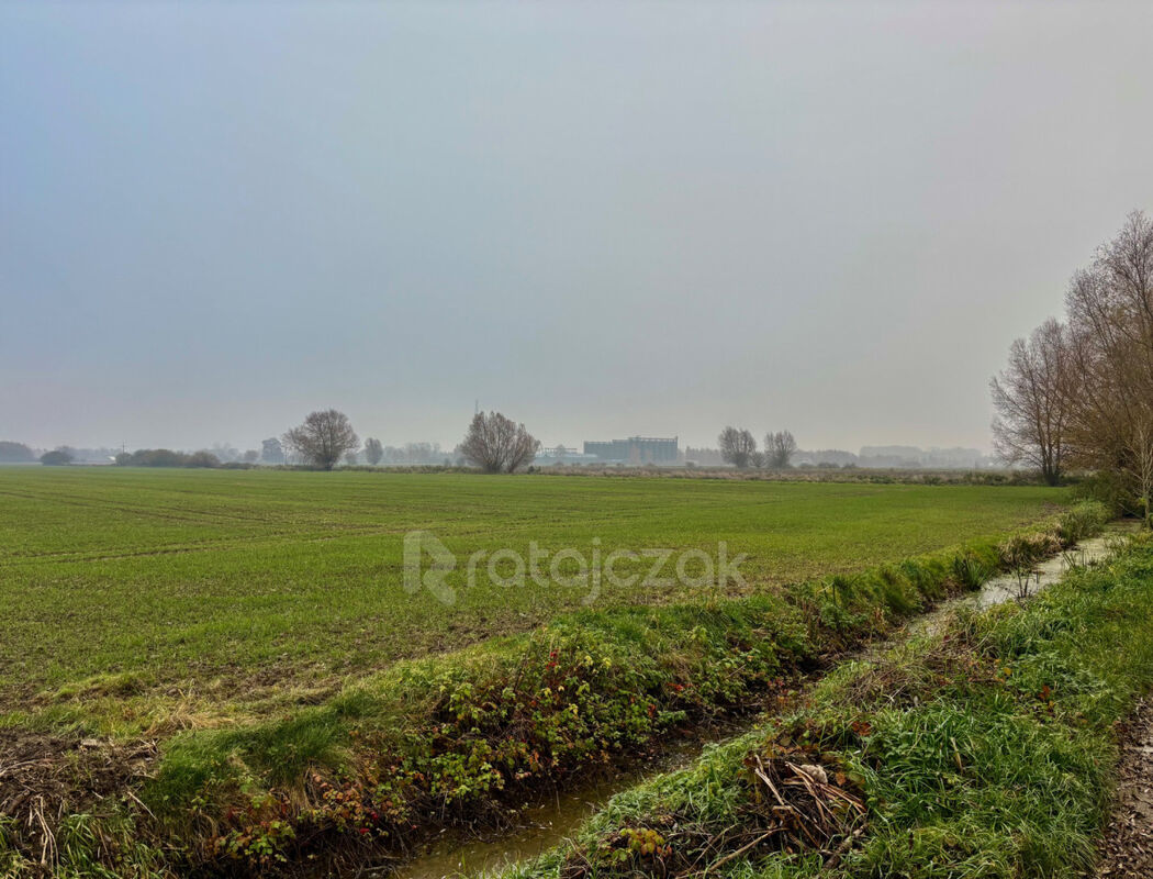 Sprzedam 3 działki budowlane z warunkami zabudowyDrewnica