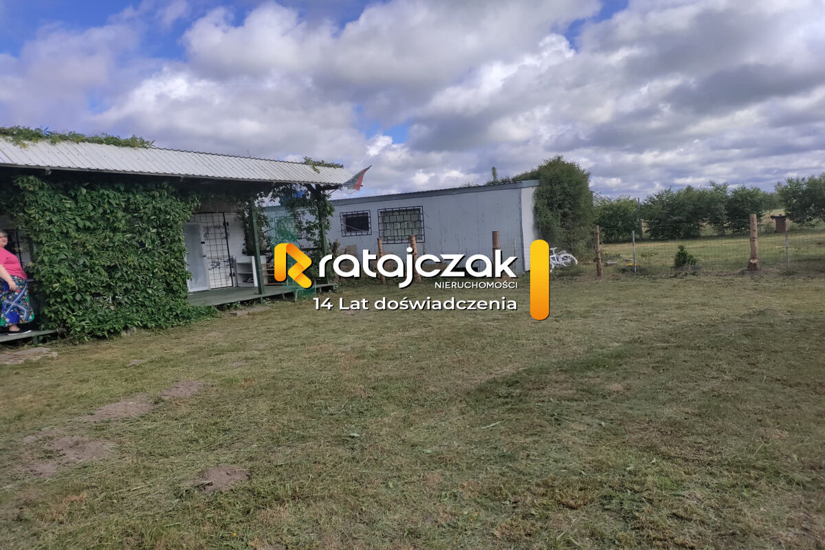 Dębki w pobliżu plażyDębki