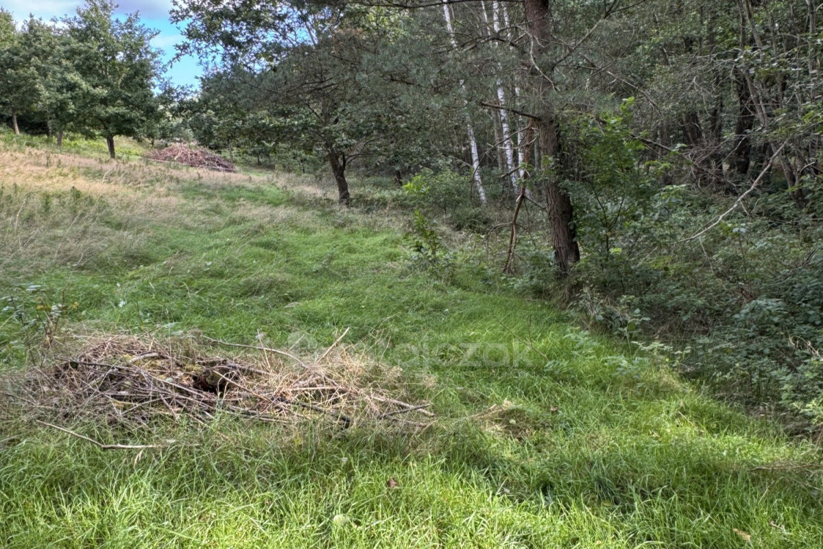 Działka pod dom jednorodzinny i rekreacjęKoleczkowo