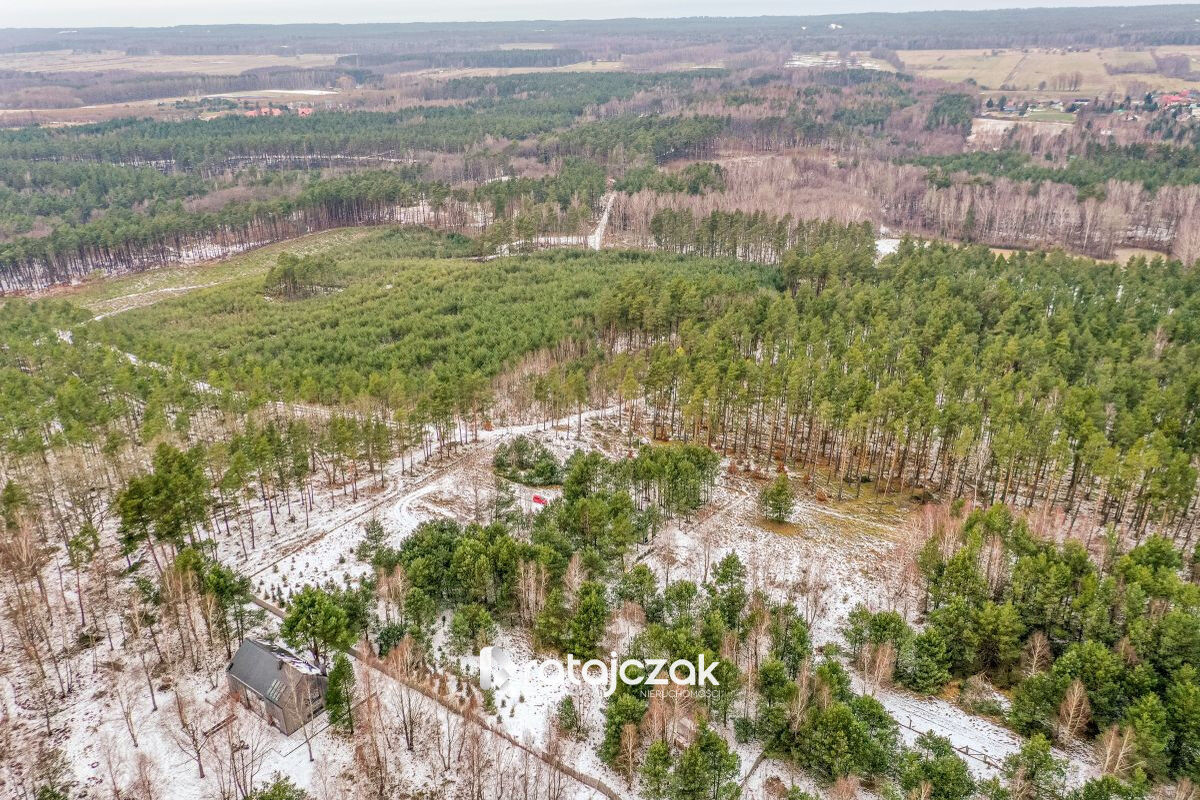 Działka z widokiem na morze | Sasino |  pod lasemSasino