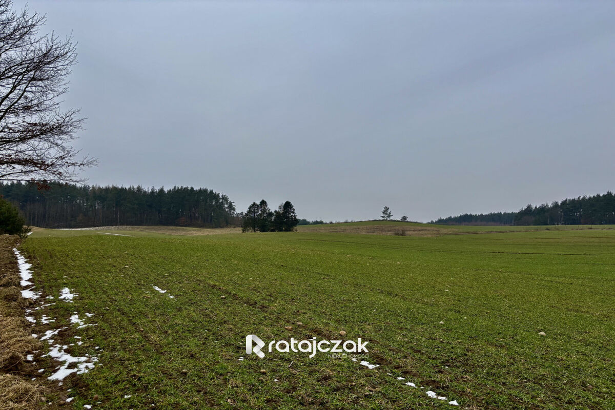 Na sprzedaż 15 działek budowlanych w Gdyni | MPZPGdynia