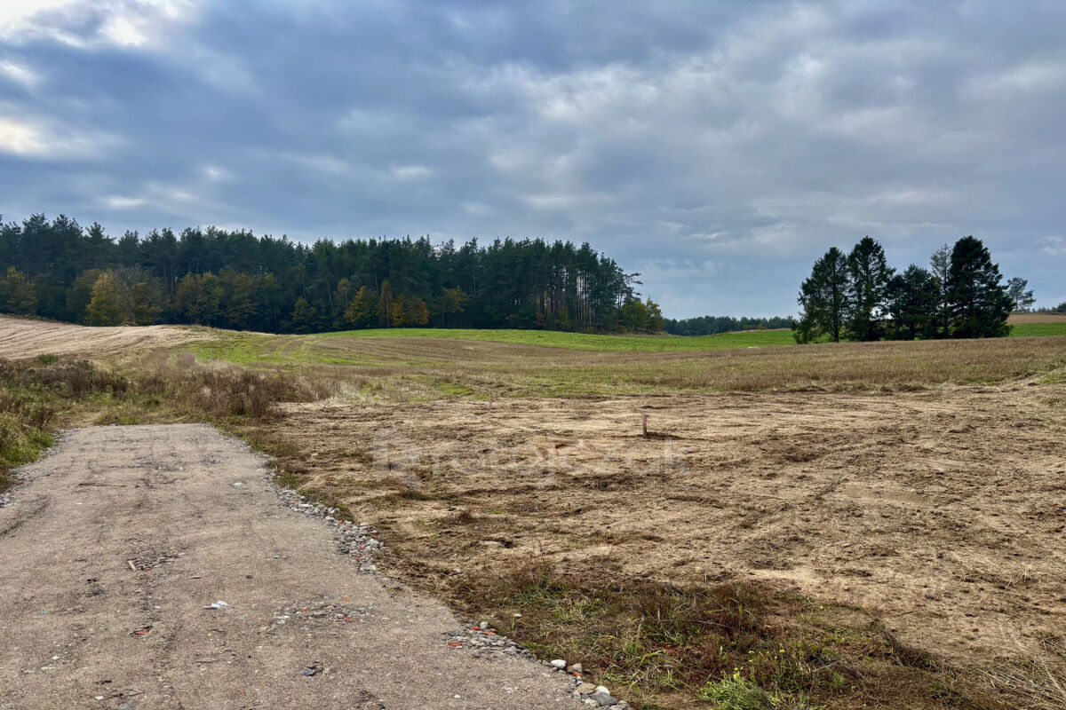 Powierzchnia działek: 2069 m² - 2265 m² | MpzpGdynia