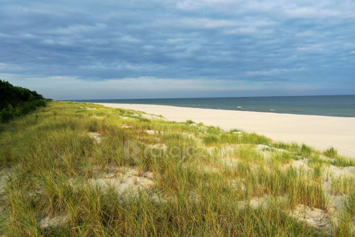 DZIAŁKA Z WZ | PARSZYCE OBOK KARWIA | INWESTYCYJNAParszczyce