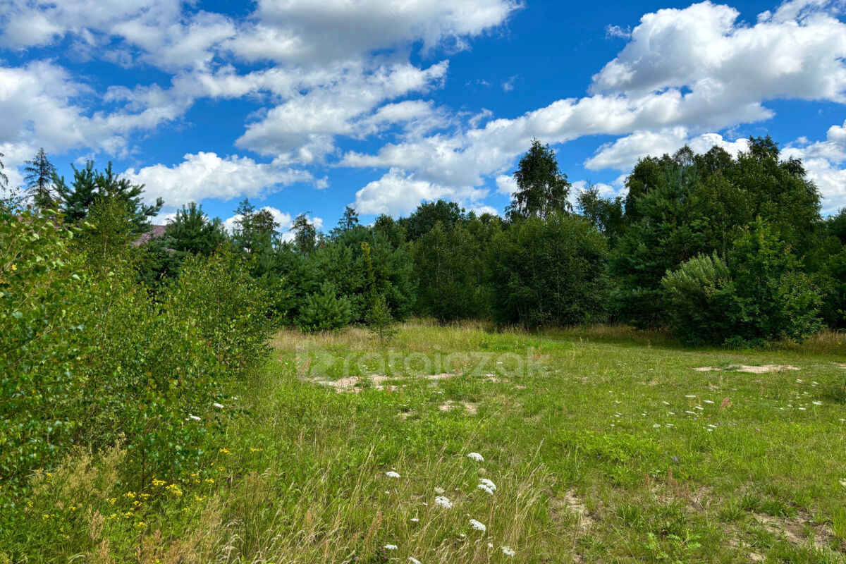 Cisza  natura i dogodna lokalizacja!Miszewko
