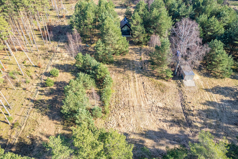 DOMEK NAD MORZEM | LAS | SASINO | 3 156m2 DZIAŁKA - Sasino