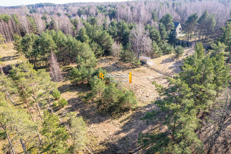 DOMEK NAD MORZEM | LAS | SASINO | 3 156m2 DZIAŁKA - Sasino