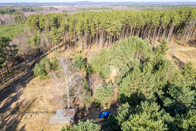 DOMEK NAD MORZEM | LAS | SASINO | 3 156m2 DZIAŁKA - Sasino