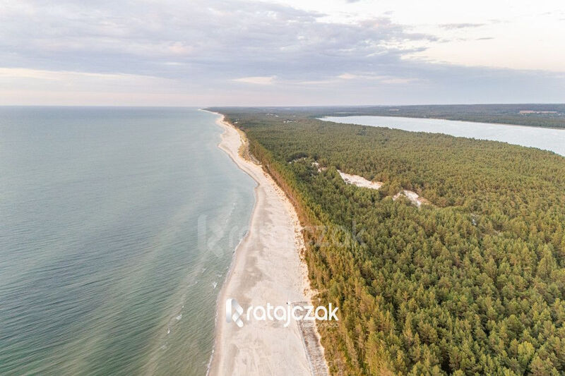 DOMEK NAD MORZEM | LAS | SASINO | 3 156m2 DZIAŁKA - Sasino