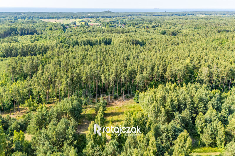 DZIAŁKA BUDOWLANA | SASINO | POD LASEM | MORZE - Sasino