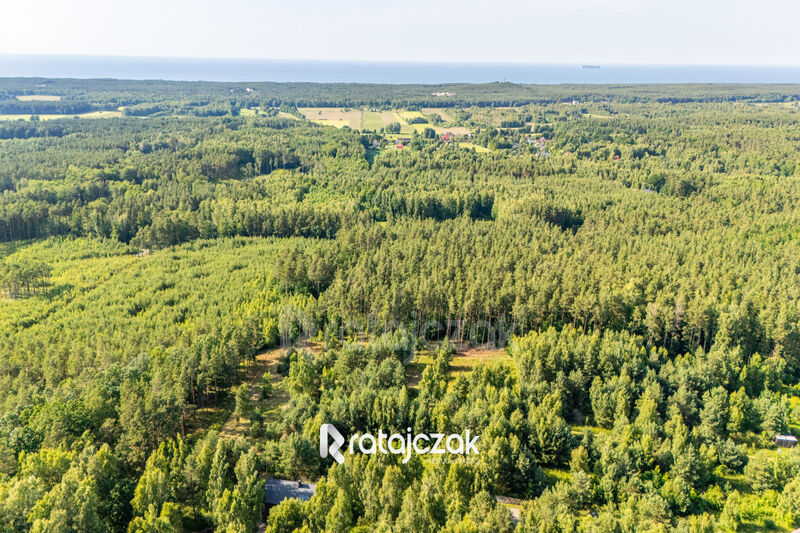 DZIAŁKA BUDOWLANA | SASINO | POD LASEM | MORZE - Sasino