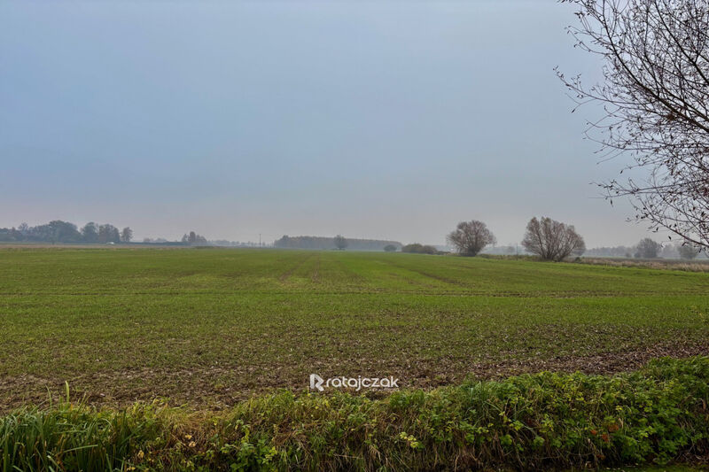 Sprzedam 3 działki budowlane z warunkami zabudowy - Drewnica