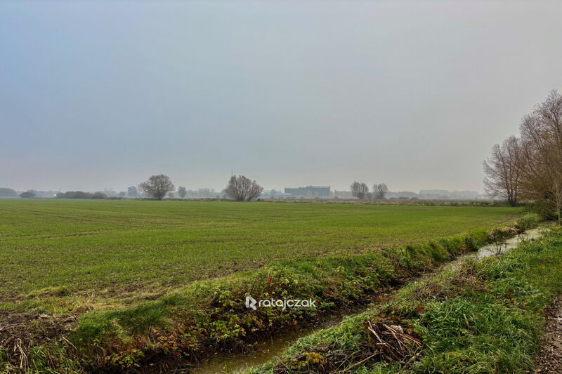 Sprzedam 3 działki budowlane z warunkami zabudowy - Drewnica