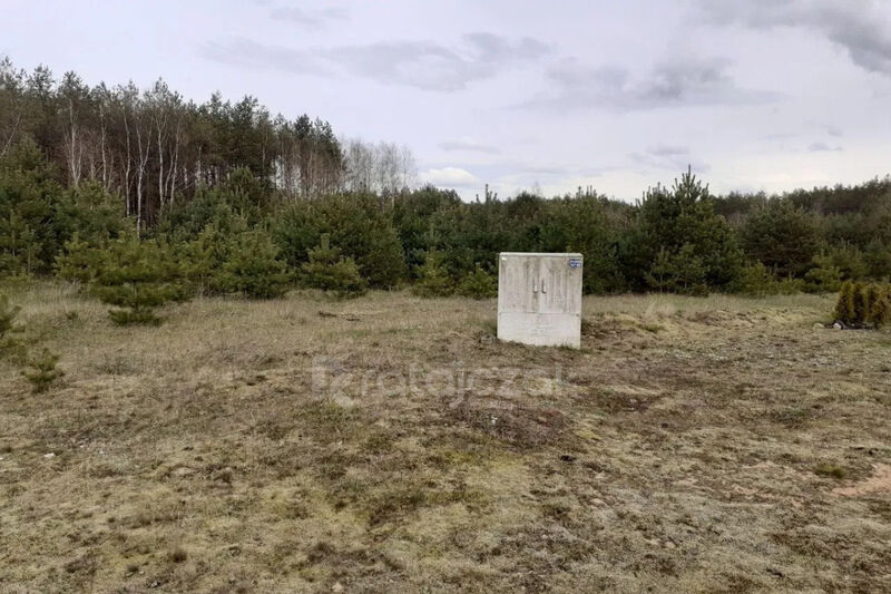 Działka 4 2 ha pod budowę osiedla (16 domów) - Przewóz