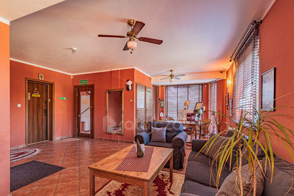 Gotowiec inwestycyjny 14 umeblowanych pokoi z łazi - Gdańsk