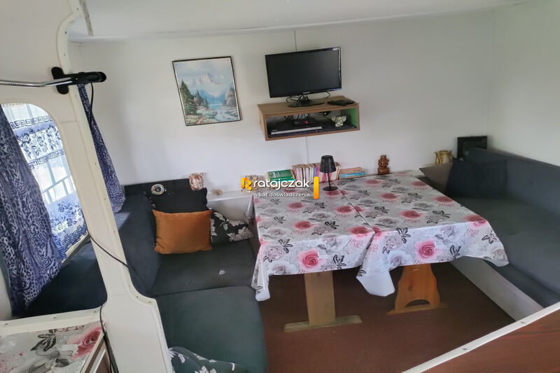 Dębki w pobliżu plaży - Dębki