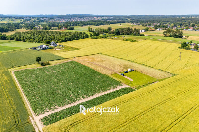 Działki z wydanymi Warunkami Zabudowy | Robakowo - Robakowo