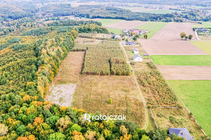 10 działek budowlanych | Kochanowo | pod lasem - Kębłowo