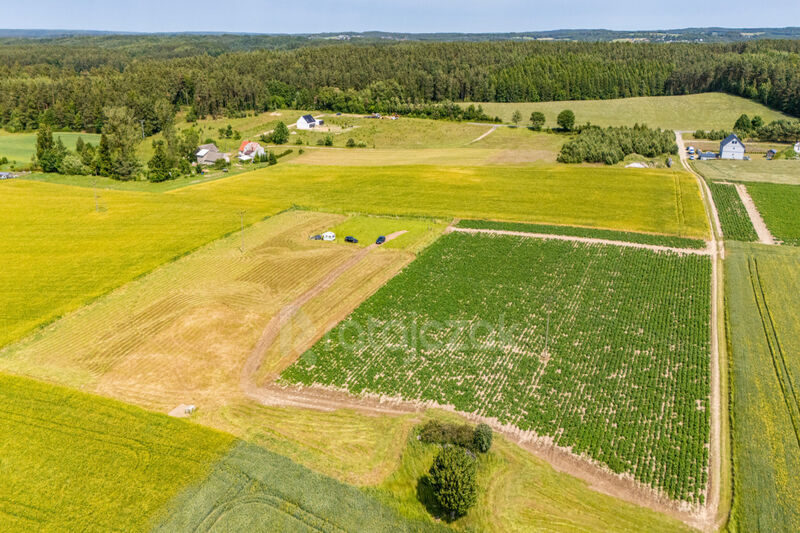 Działki z odrębnymi Warunkami Zabudowy | Robakowo - Robakowo