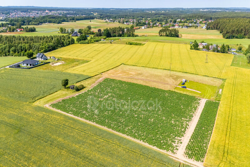 Działki z odrębnymi Warunkami Zabudowy | Robakowo - Robakowo