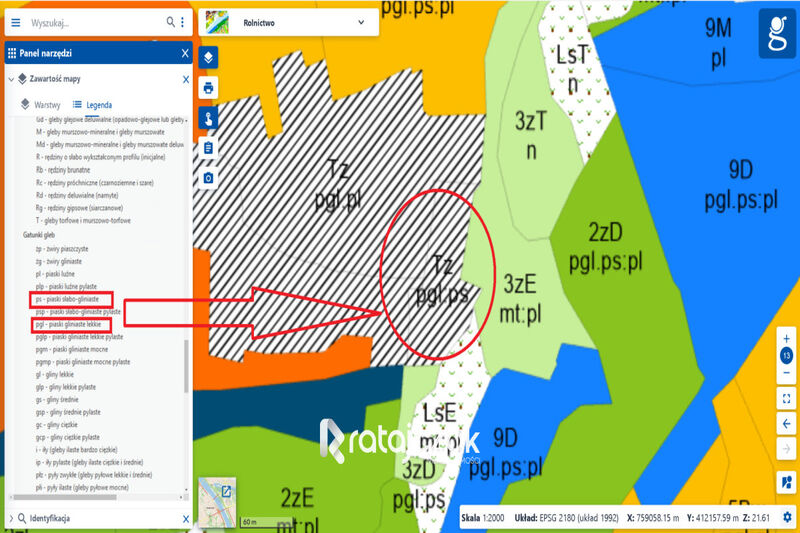 3 174 m2 DZIAŁKA | BLISKO ŁEBA i MORZE | WRZEŚCIE - Wrzeście