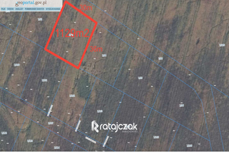 Chynowie|14km do S6|Działka budowlana z MPZP|LAS| - Chynowie