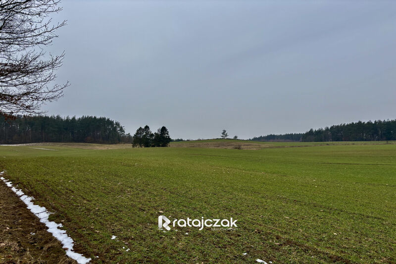 Na sprzedaż 13 działek budowlanych w Gdyni | mpzp - Gdynia