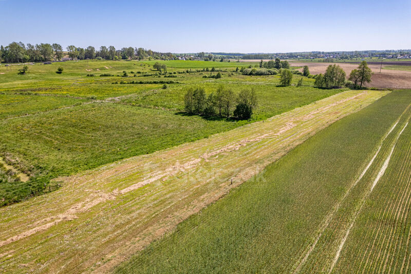 DZIAŁKA BUDOWLANA | UZBROJONA | LAS | NAD MORZEM - Parszczyce