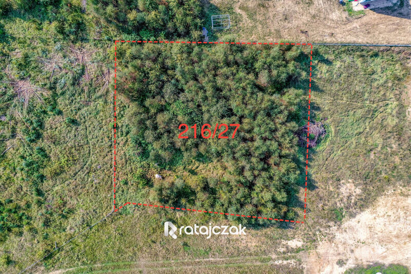 Działka pod zabudowę jednorodzinną z usługami - Bieszkowice